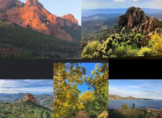 Daire Cap Esterel 6 Pers Vue Classe 3 Etoiles Saint-Raphaël